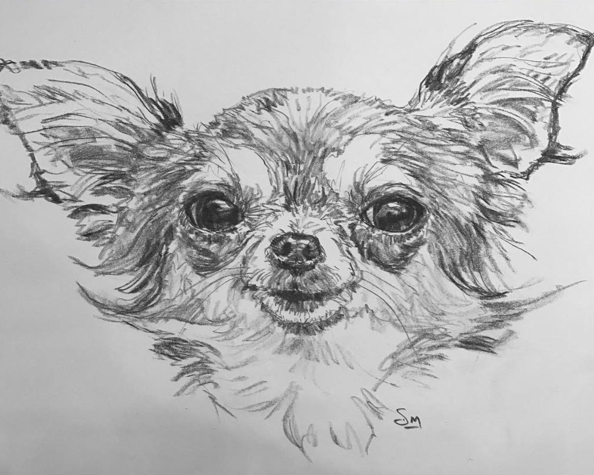 Foxy graphite drawing by Scott Myers