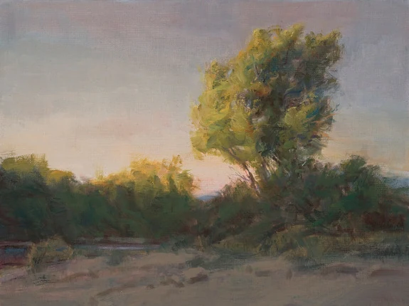 Dusk On The Paluxy