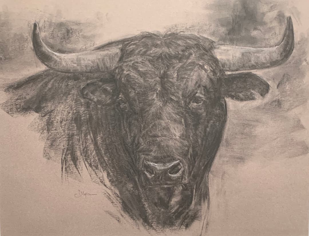 Spanish Fighting Bull