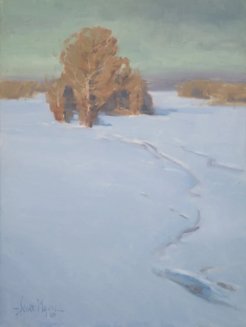 Winter’s Blanket