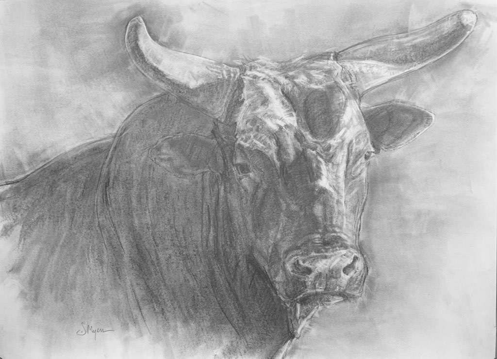 Bushwacker