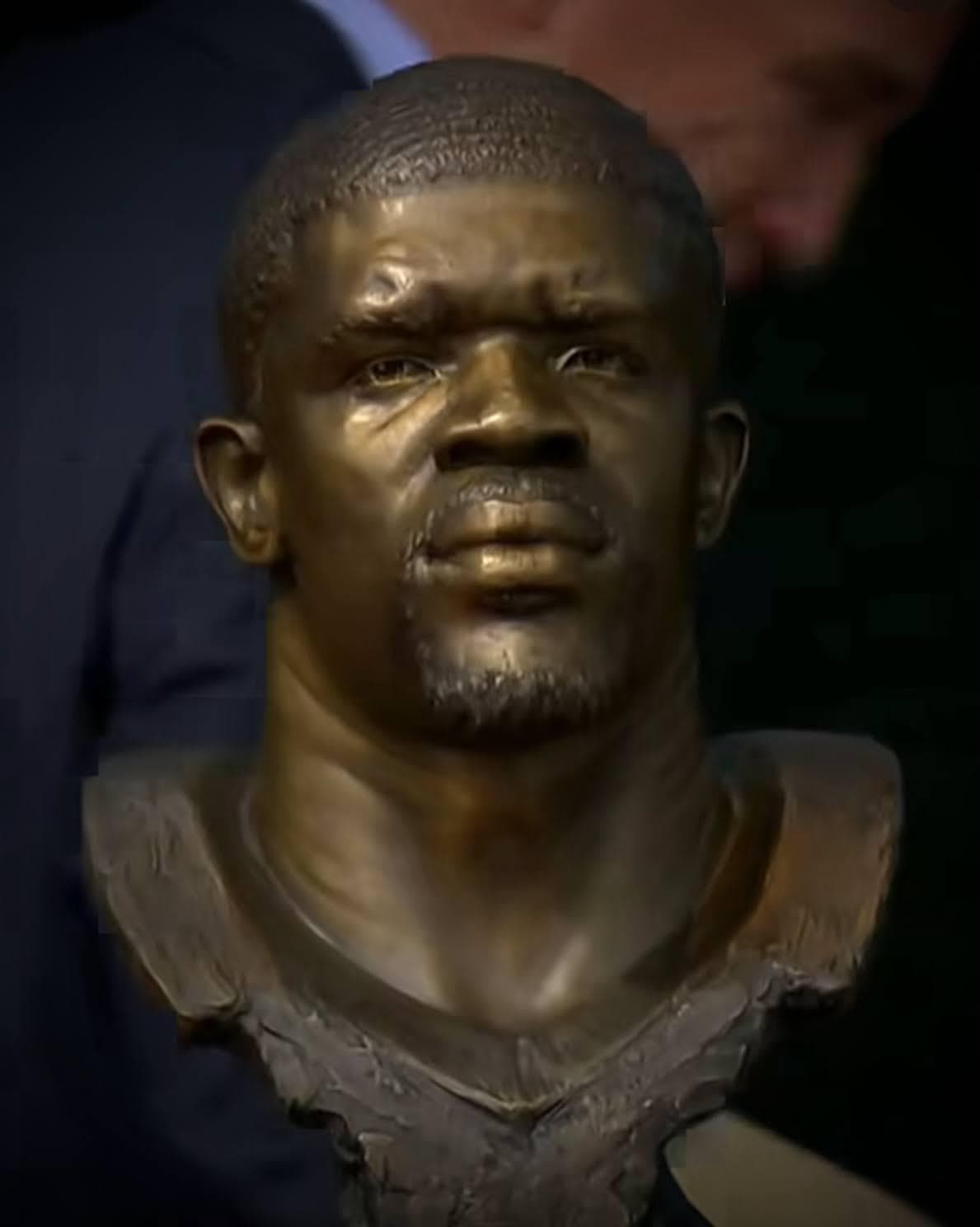 Andre Johnson detail