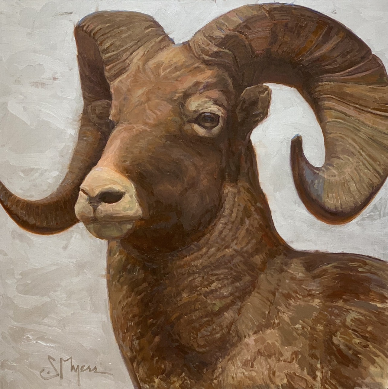 Bighorn oil painting by Scott Myers